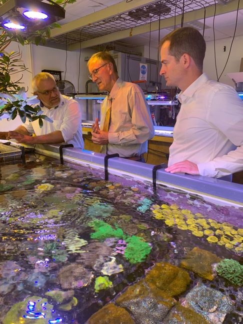 Landrat Roland Bernhard (Mitte), Kreiswirtschaftsförderer Dr. Sascha Meßmer (rechts) und der Geschäftsführer der Firma Fauna Marin, Claude Schuhmacher, bei der Korallenzuchtanlage.   Bild: Landratsamt Böblingen