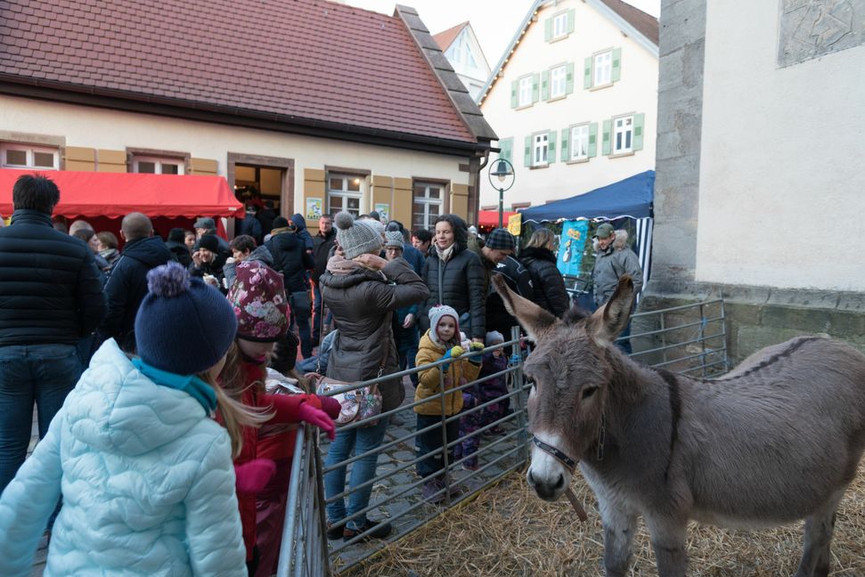 Streicheleinheiten gab es für den Esel bei der Ehninger Kirche.