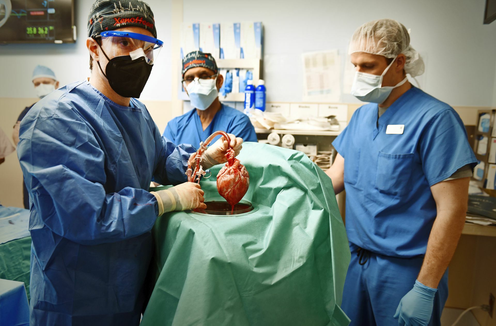 Ärzte hantieren an dem modifizierten Schweineherz, das später dem Patienten eingesetzt wurde.