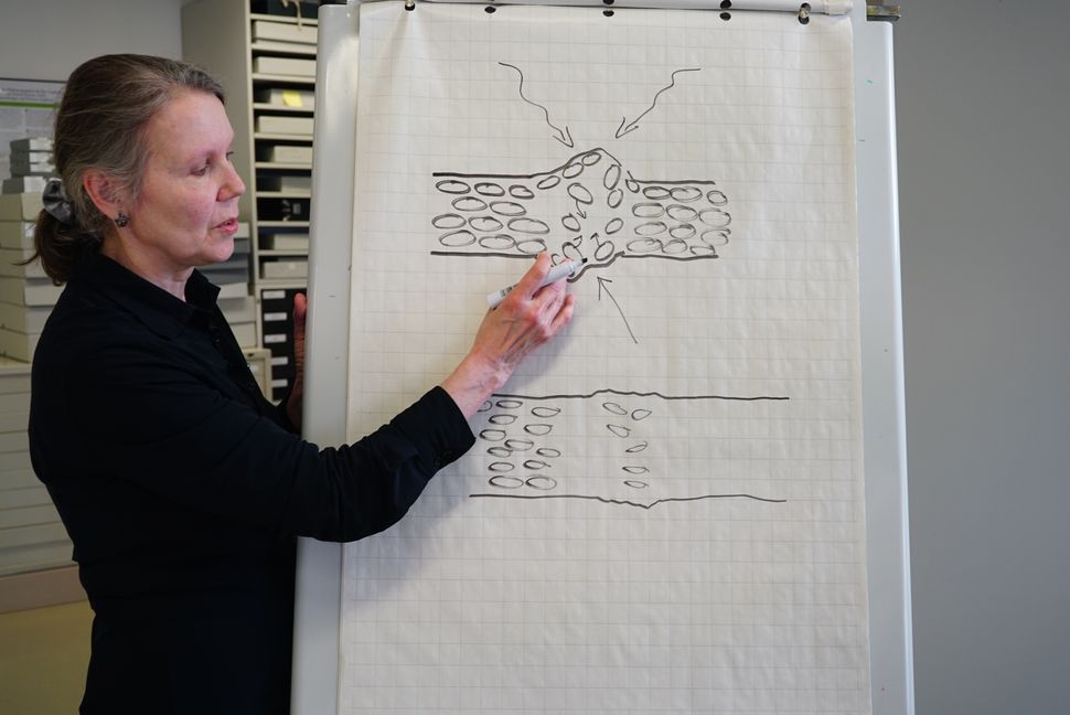 Professorin Dr. Irene Brückle verdeutlicht die Schadensstruktur des Papiers und das Ziel der Restaurierung.   Bild: Heiden