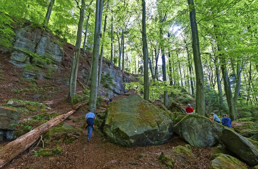 Der Wald ist für jeden da, aber es ist nicht alles erlaubt.