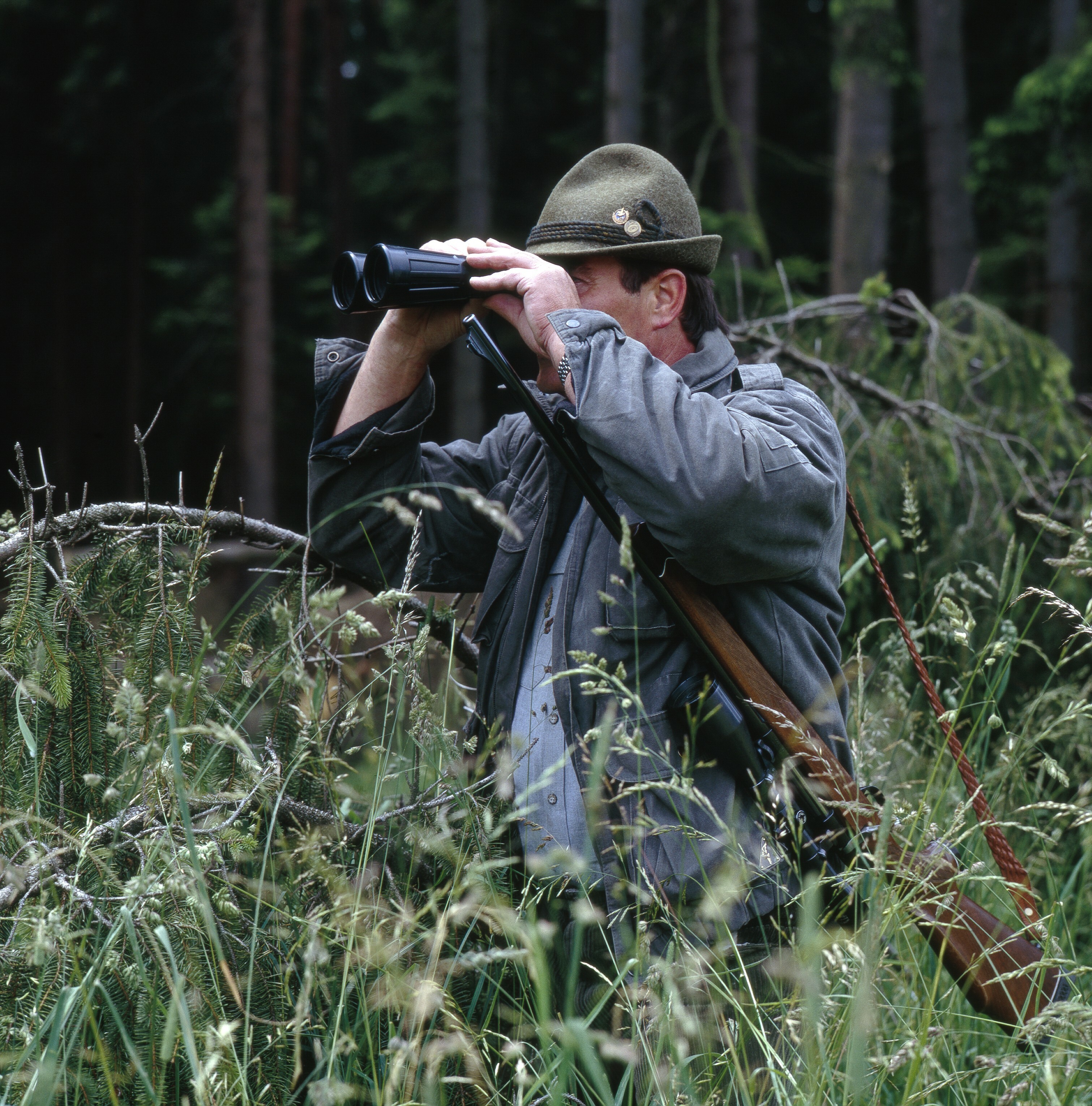 In diesem Jahr wird es in Sindelfingen keine Neuvergabe der Jagdpachten geben, daher sollen und dürfen die Jäger ein Jahr lang ohne Pacht jagen. Bild: Adobe Stock/Omika