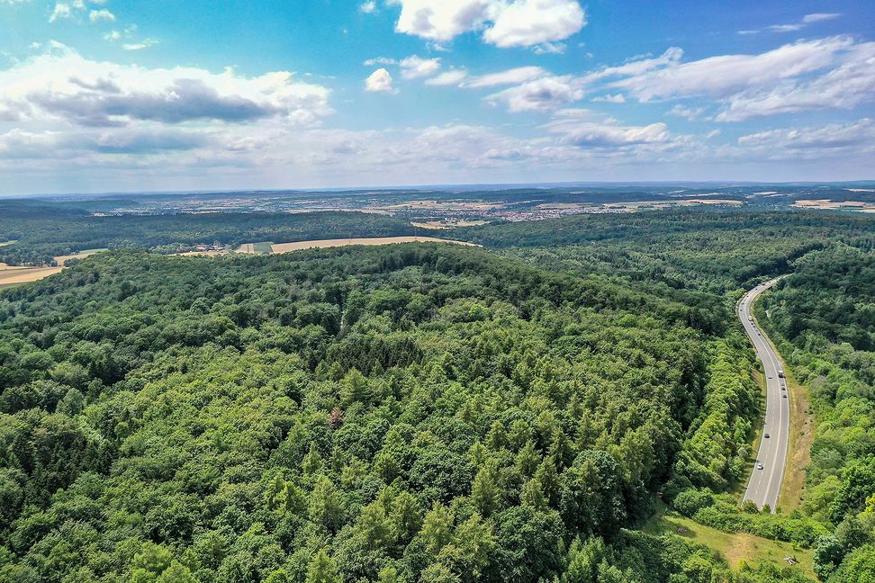 Im Wald links neben der B464 wird in den kommenden Monaten untersucht, ob auf Böblinger und Holzgerlinger jeweils bis zu zwei Windräder platziert werden könnten. Bild: Dettenmeyer/Archiv