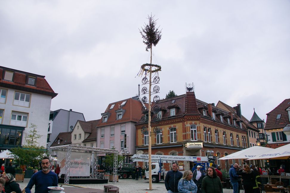 16 Meter hoch ragt die Fichten über dem Wettbachplatz in den Himmel.      Bild: Dettenmeyer