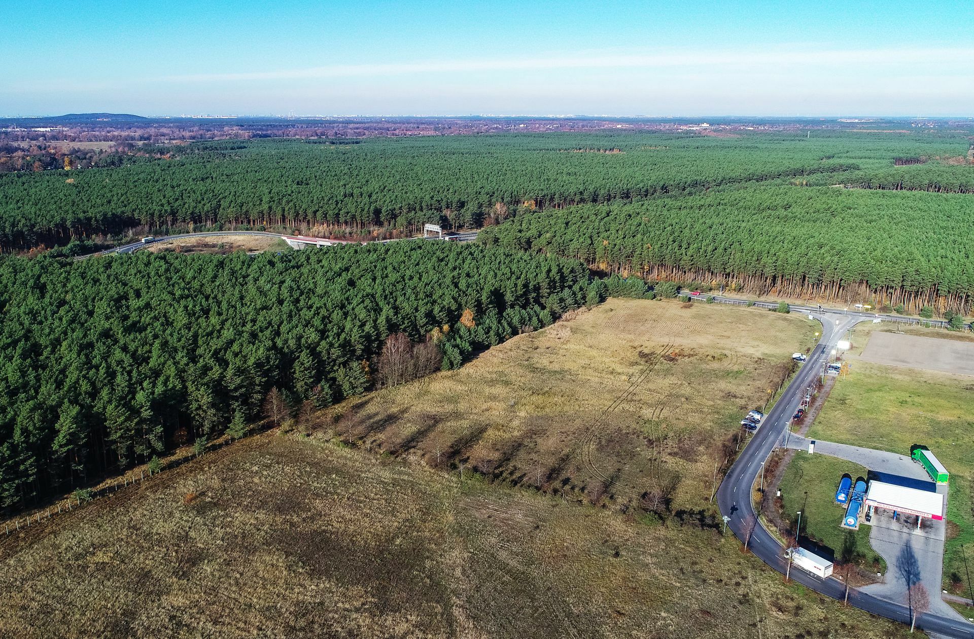 Und Mitte November 2019 standen dort überall noch Kiefern. Foto: dpa/Patrick Pleul