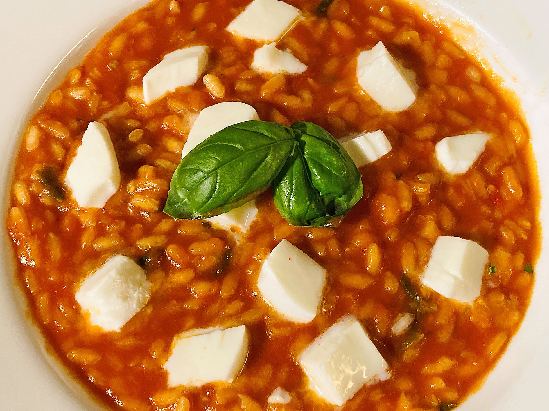 Auch ein Augenschmaus: Tomaten-Risotto mit Mozzarella Bild: Jung