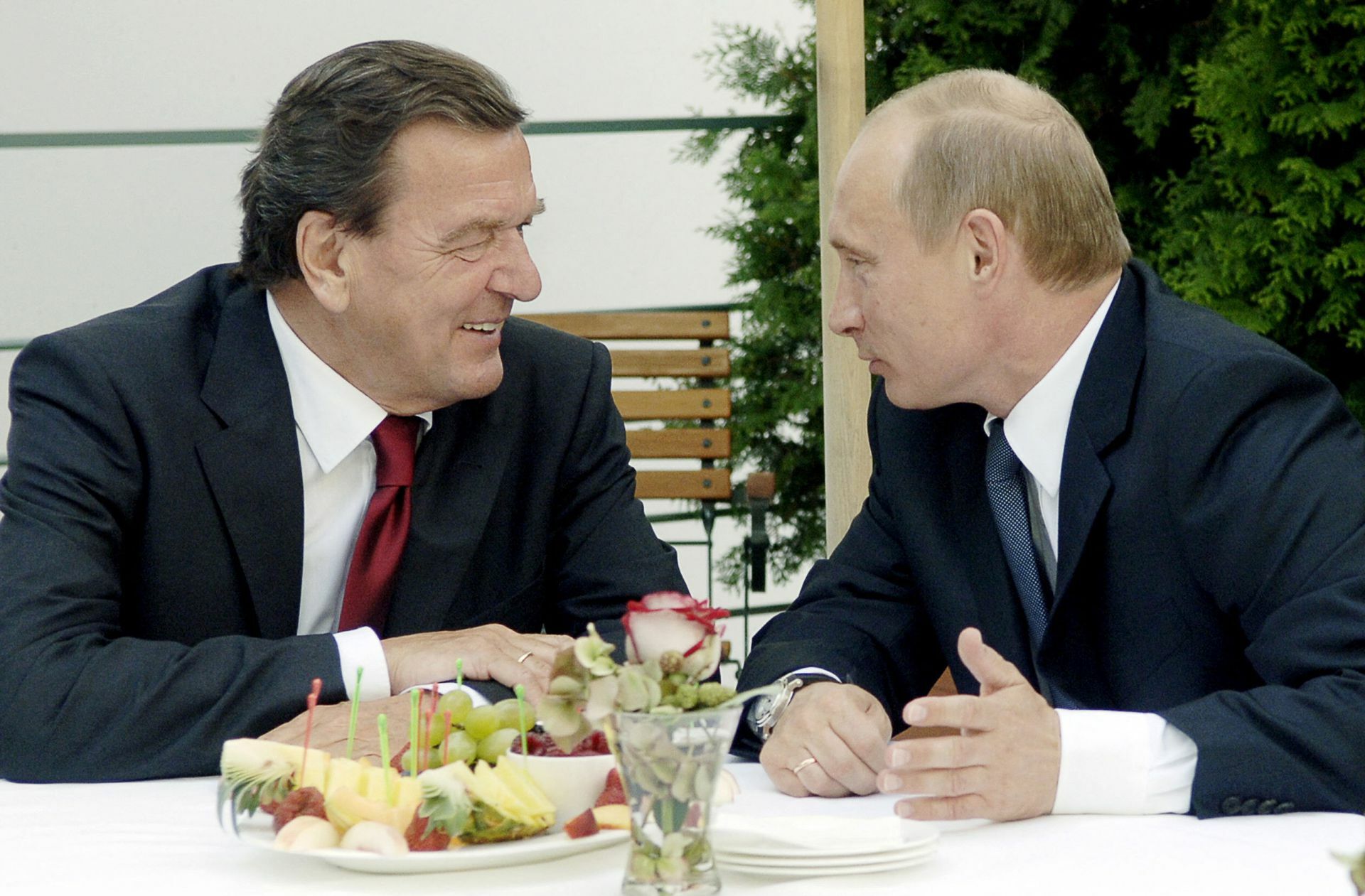 Männerfreunde: Gerhard  Schröder und Wladimir Putin im Jahr 2005