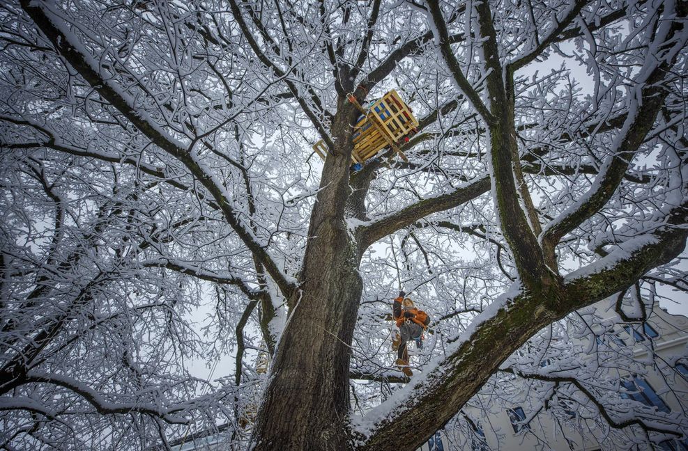 Emma Junker hangelt sich am Seil auf zehn Meter Höhe. Foto: Gottfried Stoppel