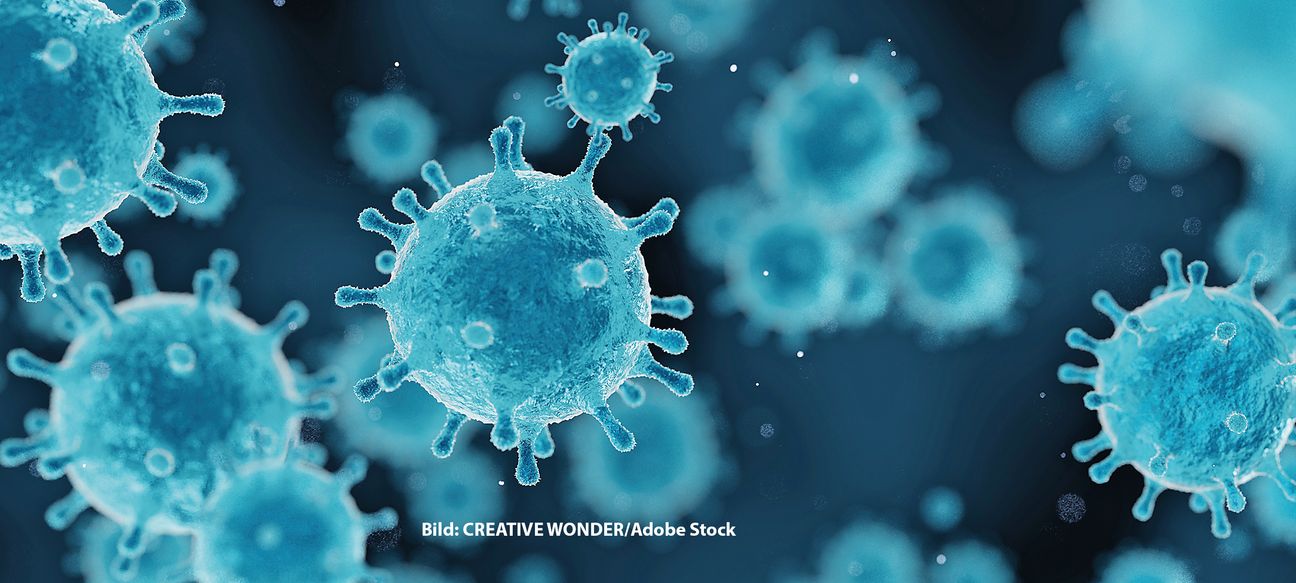 Bild: CREATIVE WONDER - stock.adobe.com