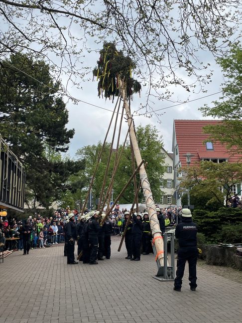 In Maichingen packt die Feuerwehr beim Maibaumaufstellen kräftig an. Bild: z