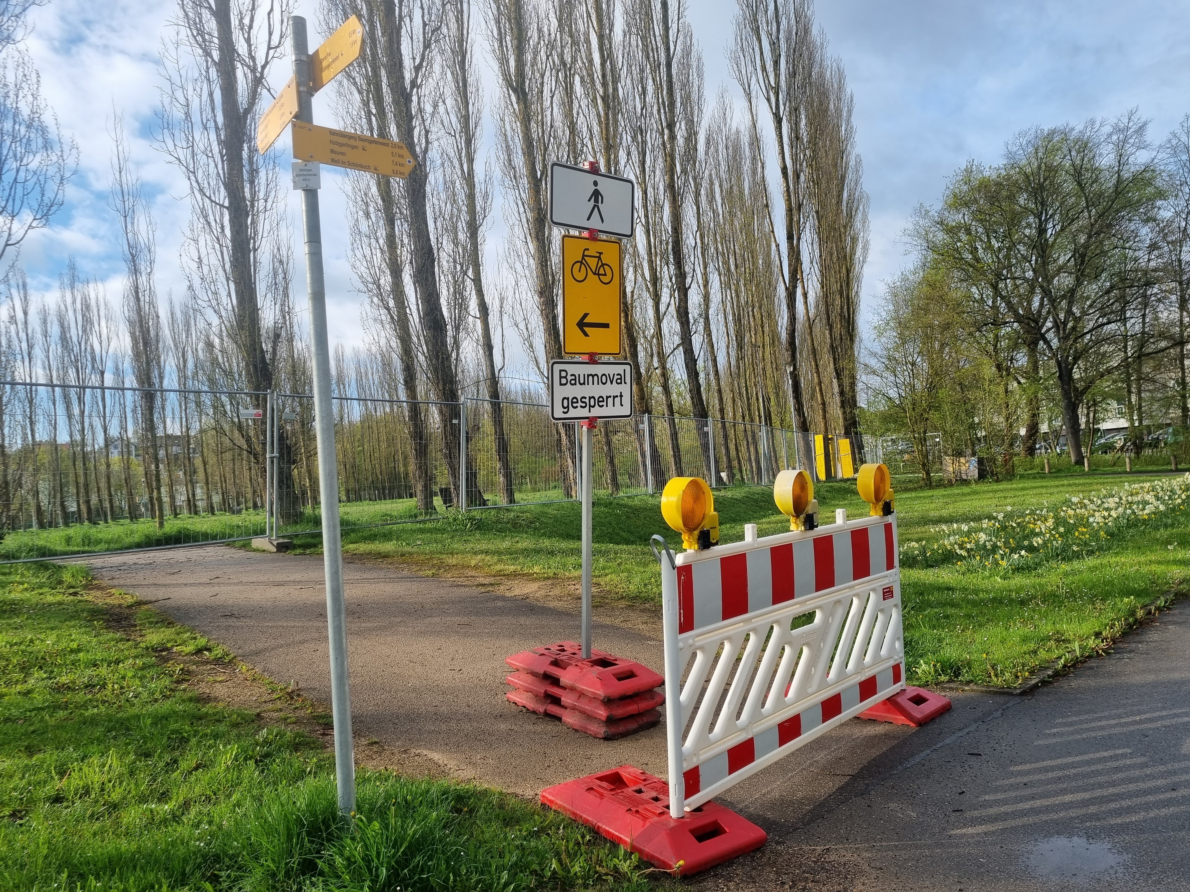 Im Böblinger Baumoval werden zurzeit die Wege saniert. Darüber, wann und in welcher Form der Park dazu neue Attraktivität erhält, will der Gemeinderat noch vor der Sommerpause ein weiteres Mal beraten.     Bild: Hamann