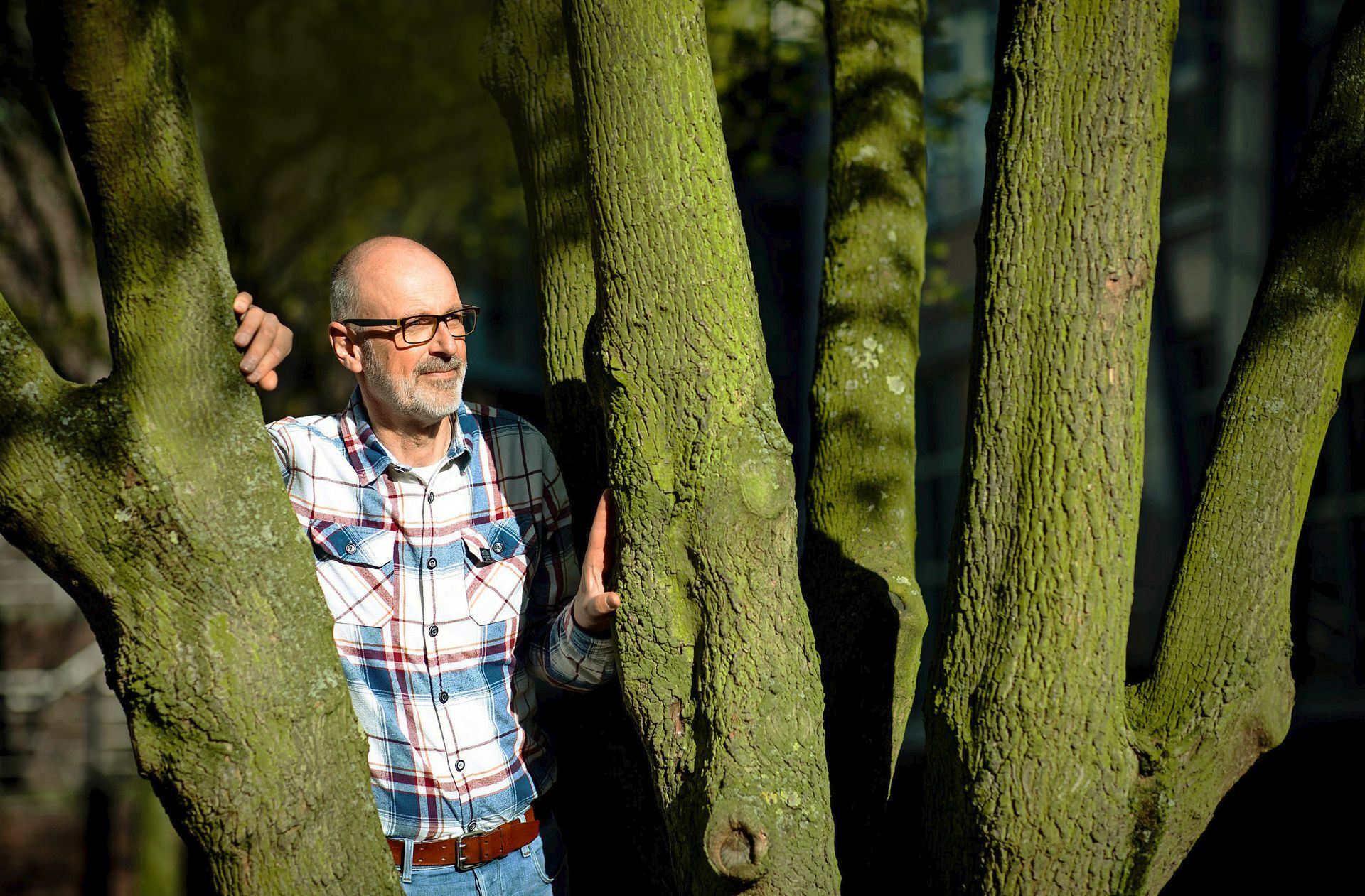 Peter Wohlleben plädiert dafür, den Wald weitestgehend sich selbst zu überlassen.