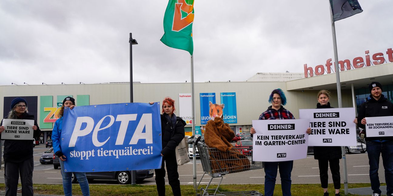 Demo am Dienstag Sindelfingen Tierschützer demonstrieren gegen