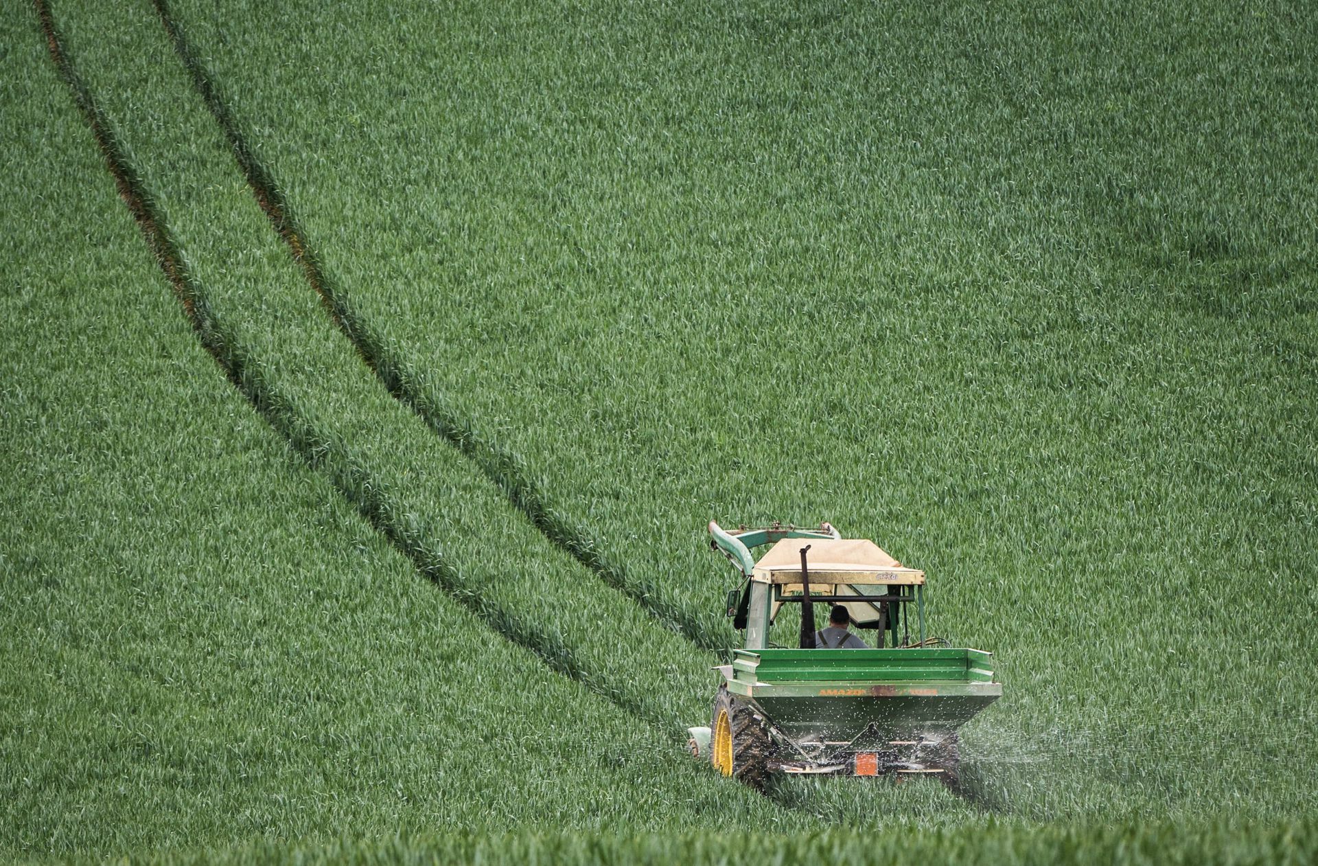 Wie grün die Landwirtschaft wird, entscheidet vor allem der Verbraucher