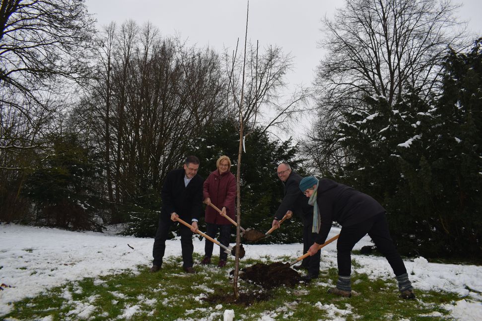 Bei der Baumspende in Maichingen (von lnks): Armin Mornhinweg (Regionalleiter Volksbank), Heidrun Widmayer (stellvertretende Ortsvorsteherin), Michael Rapp (Regionalvorstand Volksbank) und Christine Hemme (Stadtgrün Sindelfingen).     Bild: z