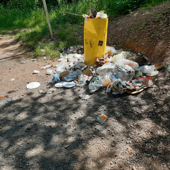 So sah es am Sonntag an der Winterhalde im Sindelfinger Wald aus. Das Foto stammt von SZ/BZ-Leser Hans Joachim Volz.