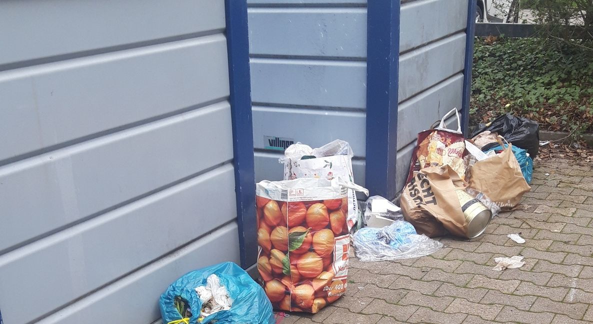 An den Glascontainern beim Domo wird immer wieder illegal Müll abgelegt. Bild: z