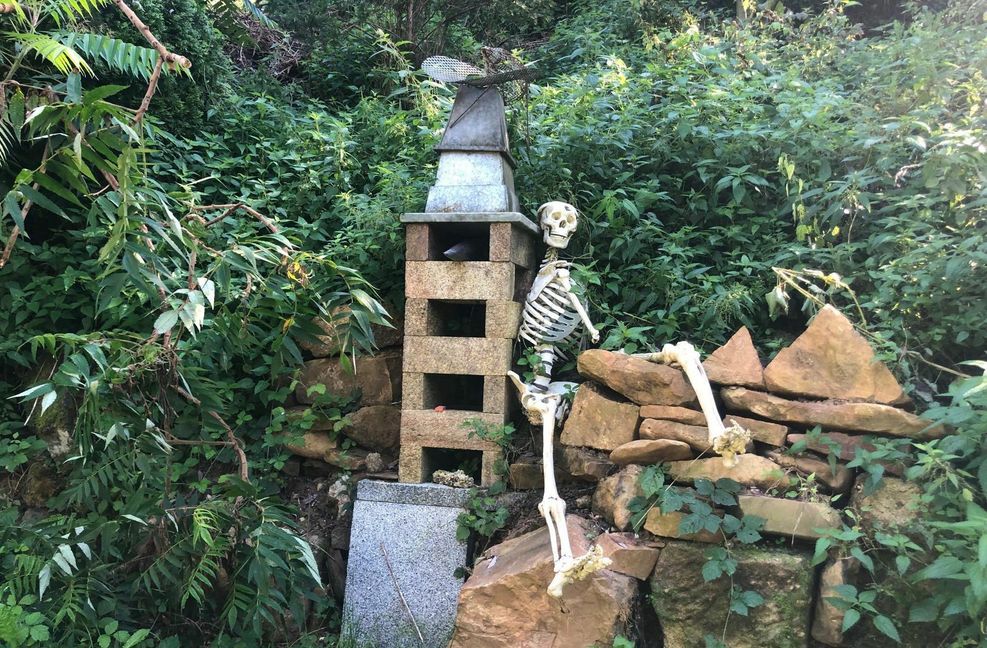 . . . wie auch dieses Skelett . . .