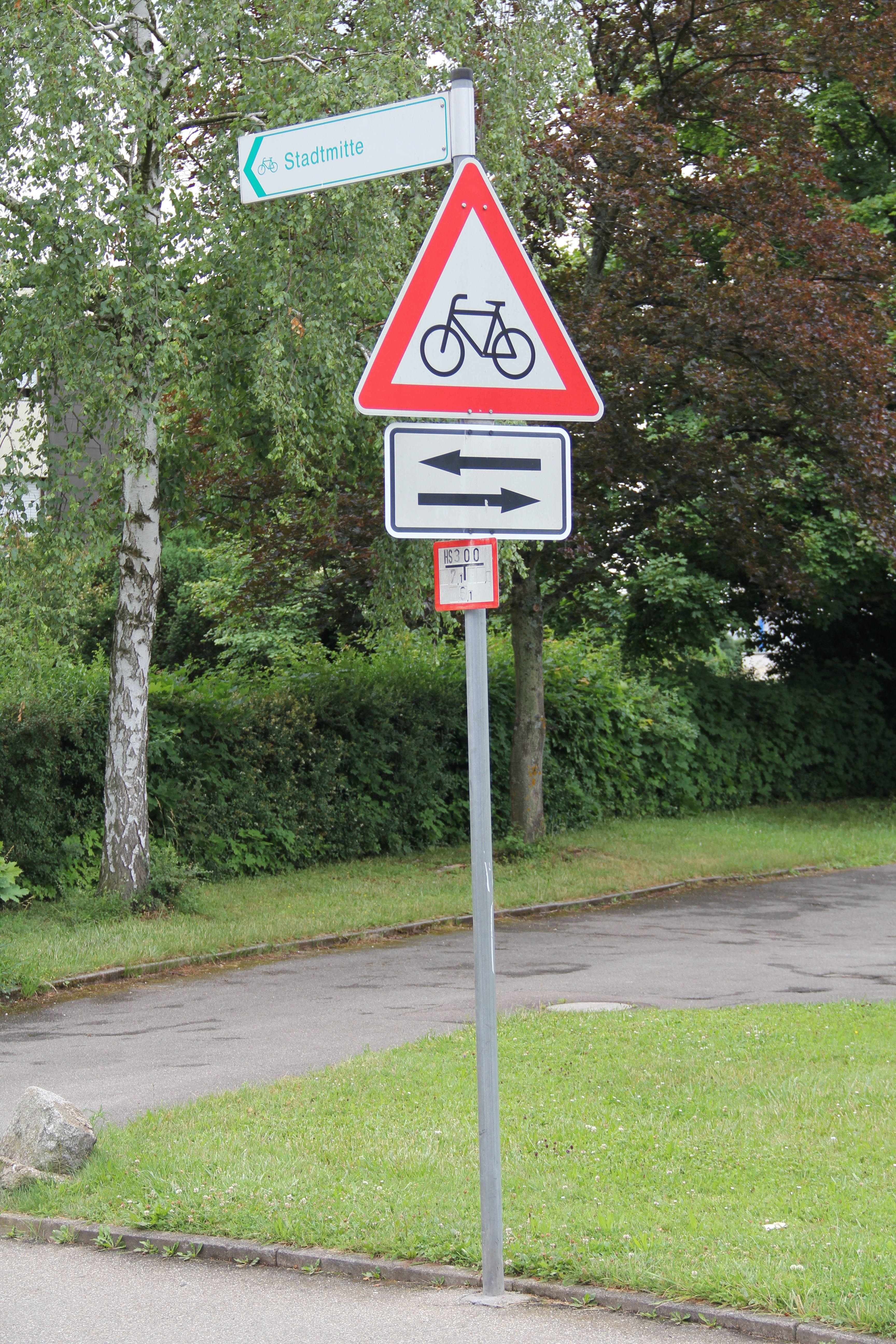In die Stadtmitte soll das Schild führen. Wer ihm folgt, fährt aber in Richtung Schönaich. Bild: Oberdorfer