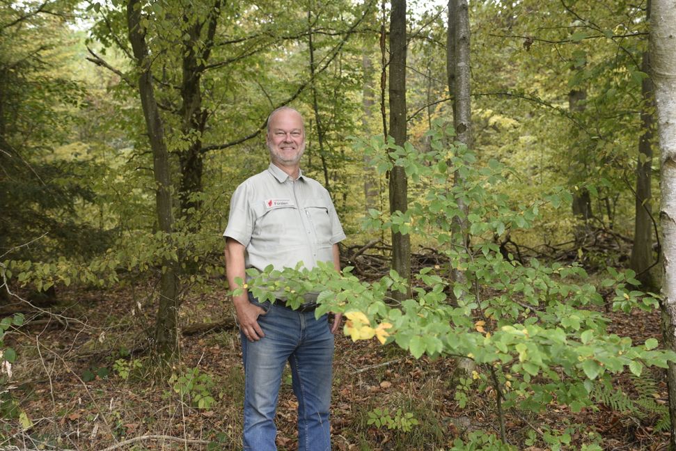 Förster Jochen Müller in "seinem" Magstadter Wald. Einmal im Jahr führt er den Gemeinderat da durch. Bild: Reichert